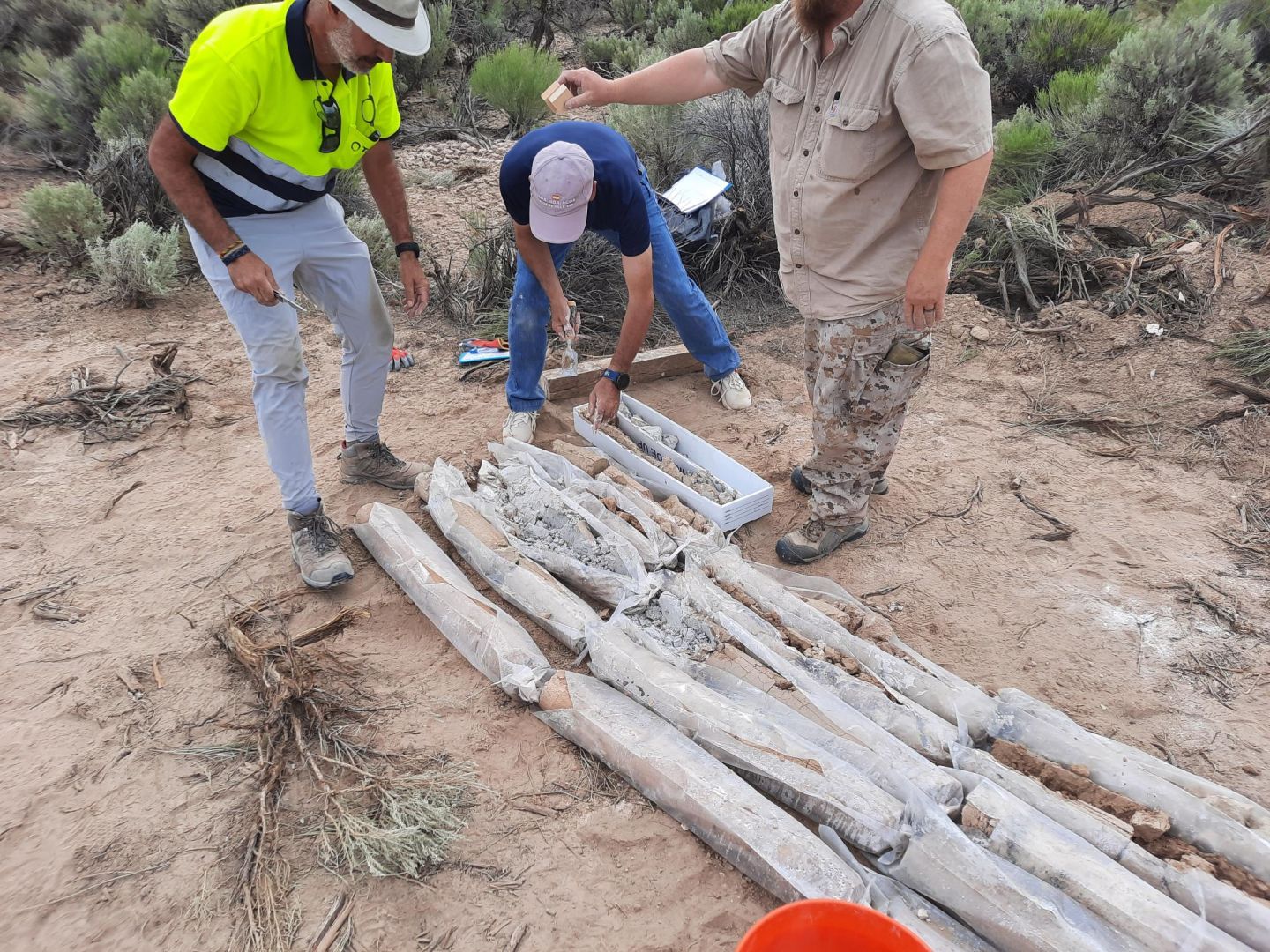 Pioche Drill Campaign Summer 2024 - Pit Samples